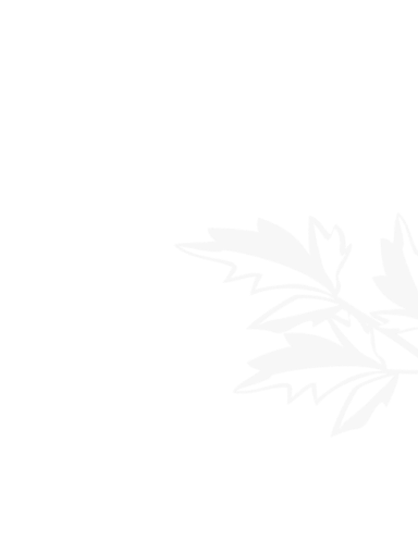 Leyu（乐鱼体育）中国官方网站-乐鱼体育官网入口